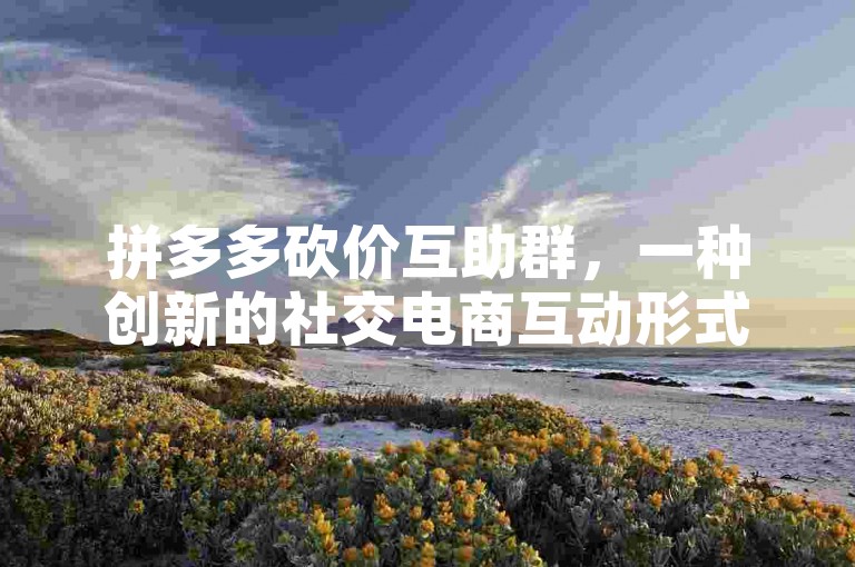 拼多多砍价互助群，一种创新的社交电商互动形式。