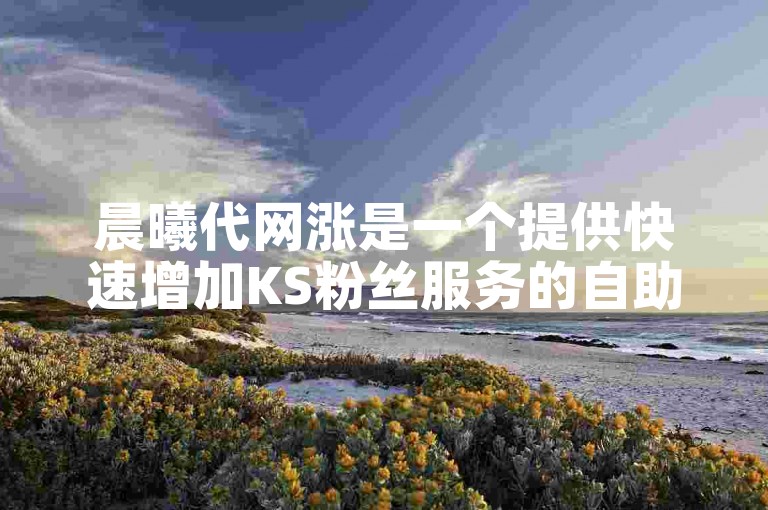 晨曦代网涨是一个提供快速增加KS粉丝服务的自助下单平台。