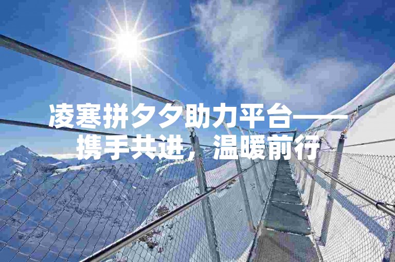 凌寒拼夕夕助力平台——携手共进，温暖前行