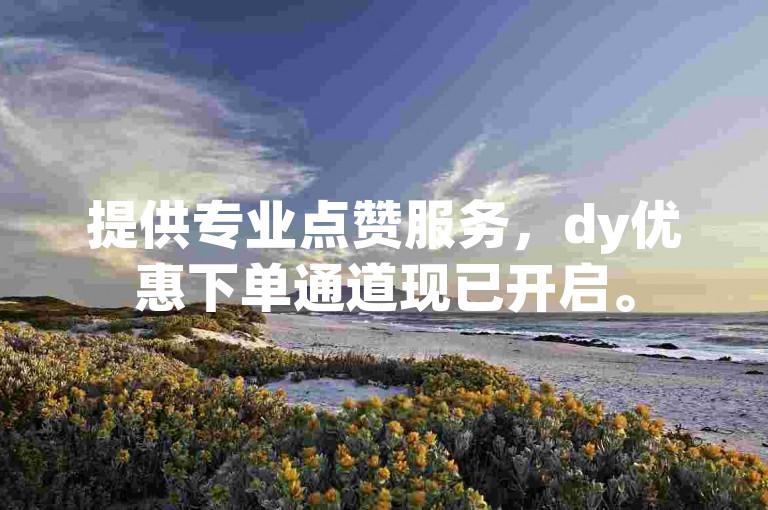提供专业点赞服务，dy优惠下单通道现已开启。