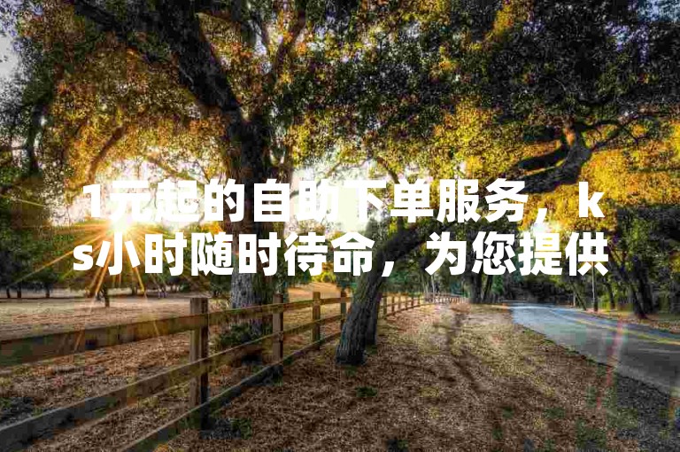 1元起的自助下单服务，ks小时随时待命，为您提供便捷高效的下单体验。