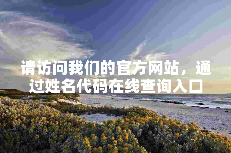 请访问我们的官方网站，通过姓名代码在线查询入口获取全网下单业务的详细信息。