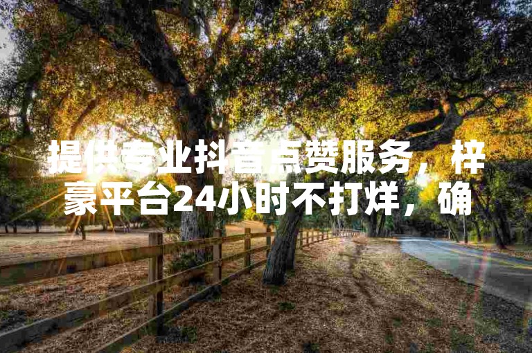 提供专业抖音点赞服务，梓豪平台24小时不打烊，确保您的视频获得最热烈的涨赞效果。