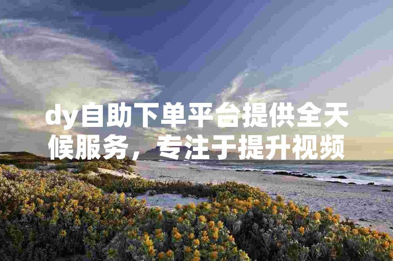dy自助下单平台提供全天候服务，专注于提升视频播放量。