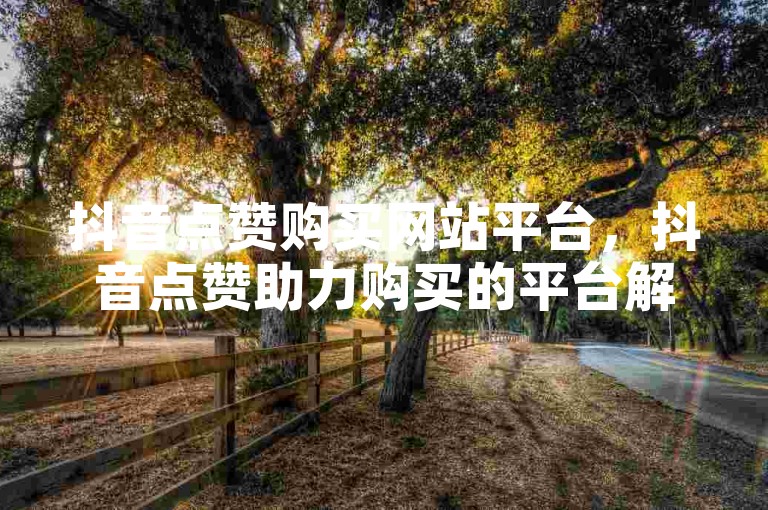 抖音点赞购买网站平台，抖音点赞助力购买的平台解析与推荐？