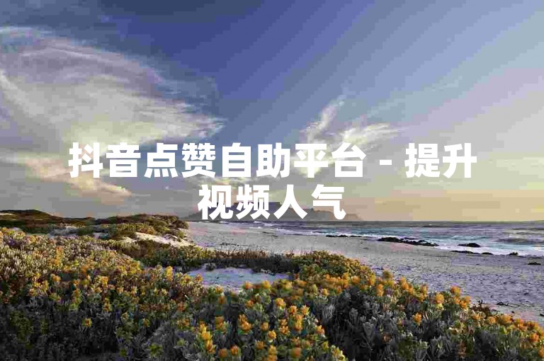 抖音点赞自助平台 - 提升视频人气
