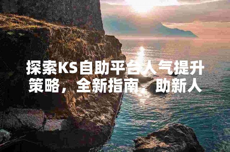 探索KS自助平台人气提升策略，全新指南，助新人快速上手！