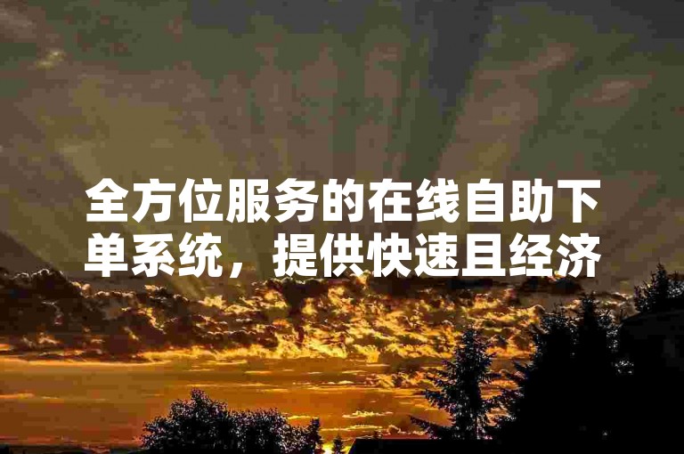 全方位服务的在线自助下单系统，提供快速且经济高效的购物体验。