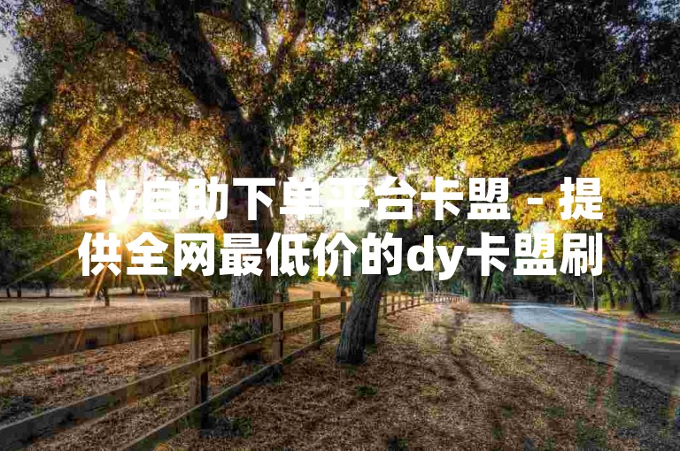dy自助下单平台卡盟 - 提供全网最低价的dy卡盟刷业务服务。