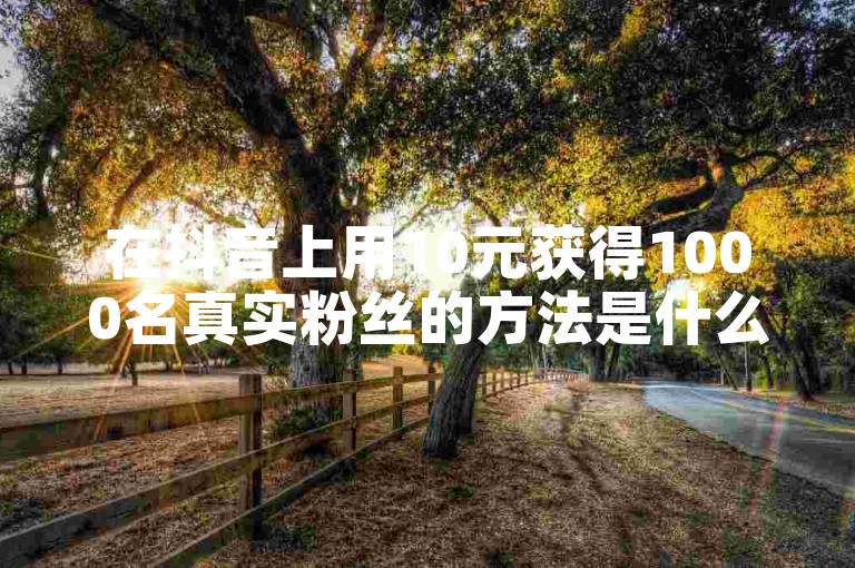 在抖音上用10元获得1000名真实粉丝的方法是什么？立即掌握提升抖音粉丝的技巧！