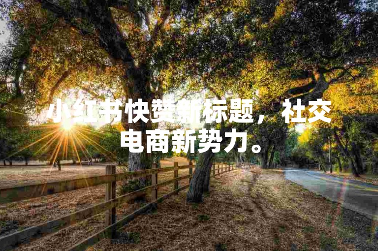 小红书快赞新标题，社交电商新势力。