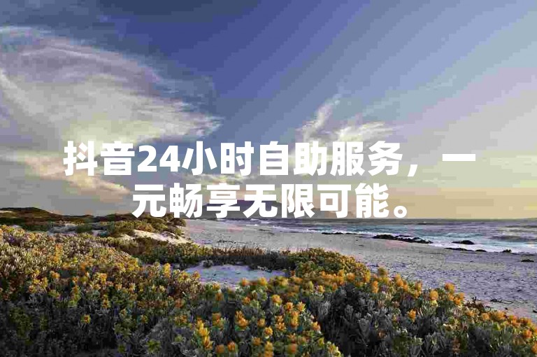 抖音24小时自助服务，一元畅享无限可能。