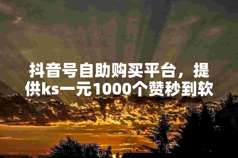 抖音号自助购买平台，提供ks一元1000个赞秒到软件服务。