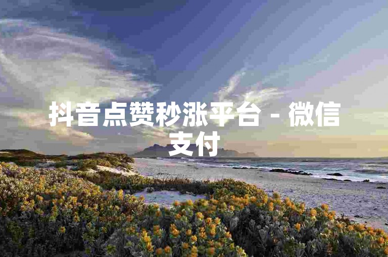 抖音点赞秒涨平台 - 微信支付5元500赞即时生效