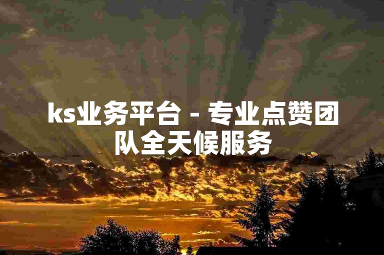 ks业务平台 - 专业点赞团队全天候服务
