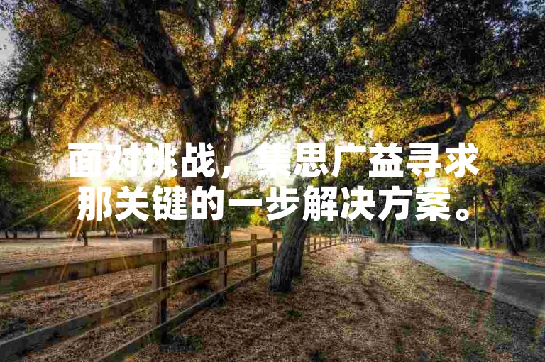 面对挑战，集思广益寻求那关键的一步解决方案。