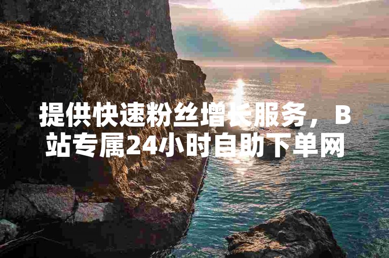提供快速粉丝增长服务，B站专属24小时自助下单网站。