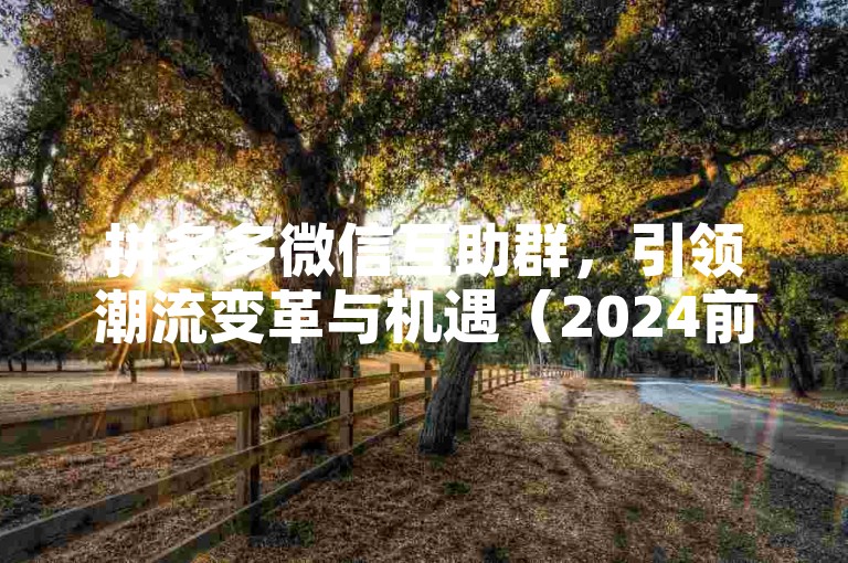 拼多多微信互助群，引领潮流变革与机遇（2024前瞻）。