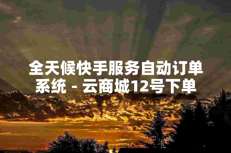全天候快手服务自动订单系统 - 云商城12号下单