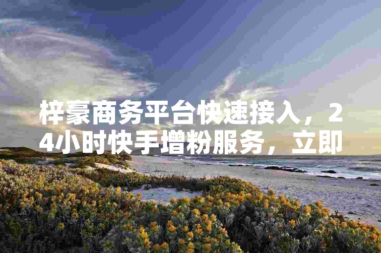 梓豪商务平台快速接入，24小时快手增粉服务，立即体验自助下单的便捷！