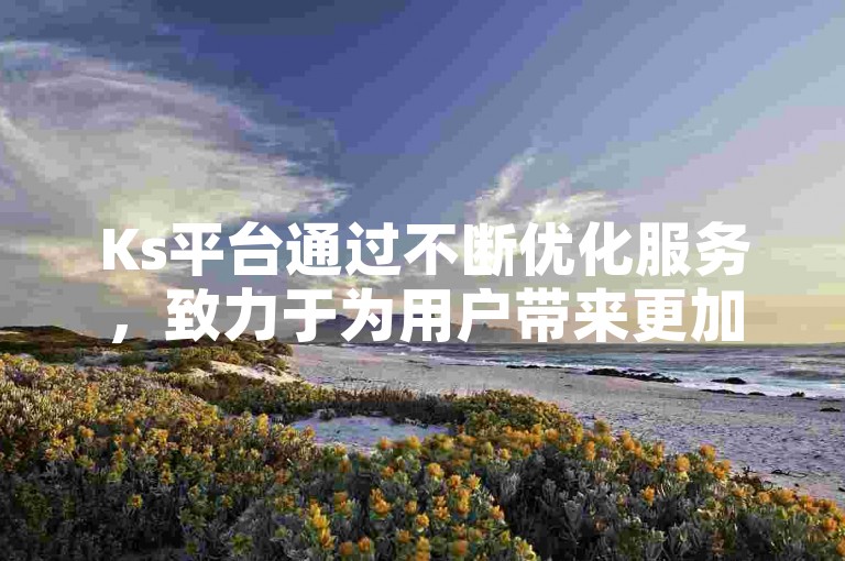 Ks平台通过不断优化服务，致力于为用户带来更加流畅和便捷的使用感受。