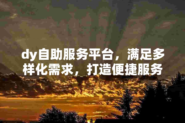 dy自助服务平台，满足多样化需求，打造便捷服务体验。