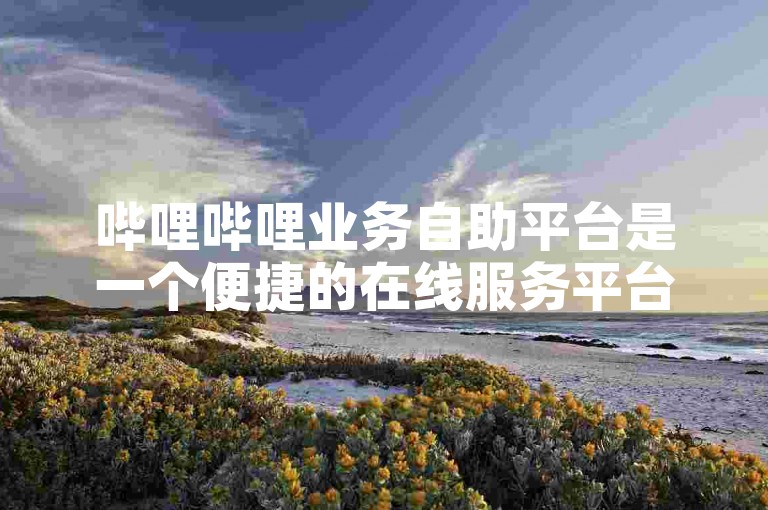 哔哩哔哩业务自助平台是一个便捷的在线服务平台，旨在为用户提供高效的业务处理能力。