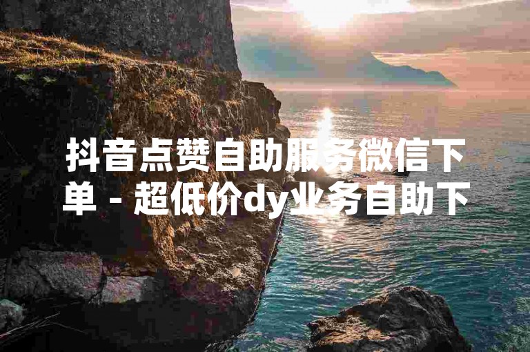抖音点赞自助服务微信下单 - 超低价dy业务自助下单平台云笙，提供便捷、高效的服务。