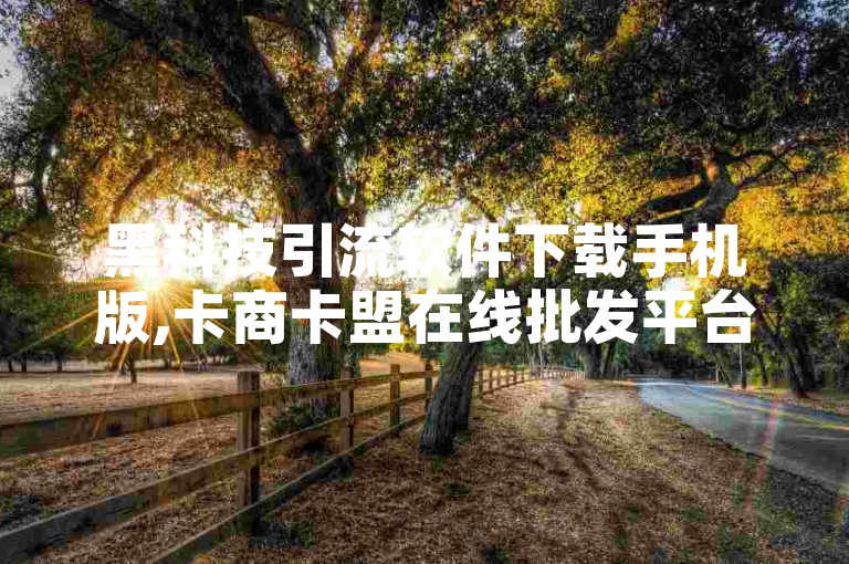 黑科技引流软件下载手机版,卡商卡盟在线批发平台，提供便捷的数字营销解决方案。