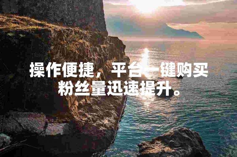 操作便捷，平台一键购买粉丝量迅速提升。