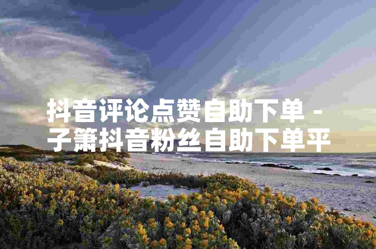 抖音评论点赞自助下单 - 子箫抖音粉丝自助下单平台，提供便捷的服务。