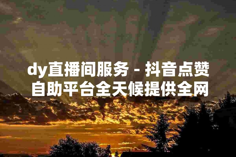 dy直播间服务 - 抖音点赞自助平台全天候提供全网最优价格