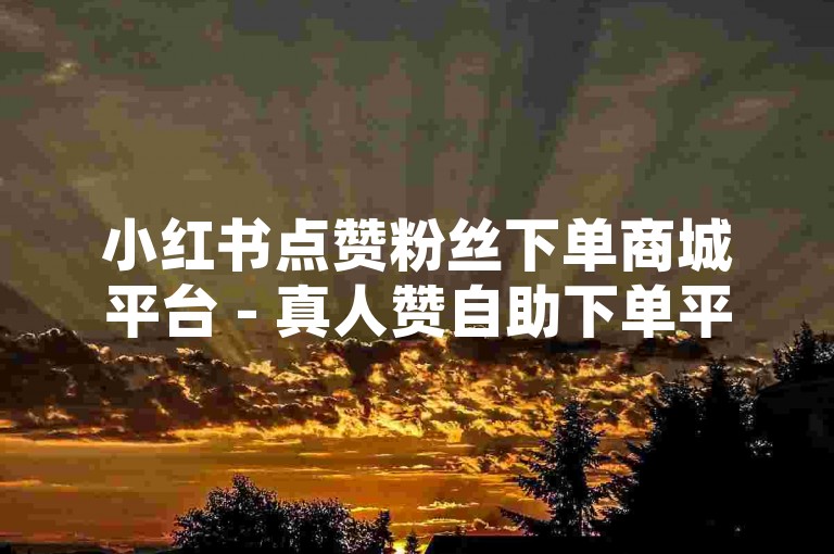 小红书点赞粉丝下单商城平台 - 真人赞自助下单平台，提供高效便捷的服务。