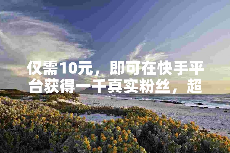仅需10元，即可在快手平台获得一千真实粉丝，超值自助服务等你来体验。