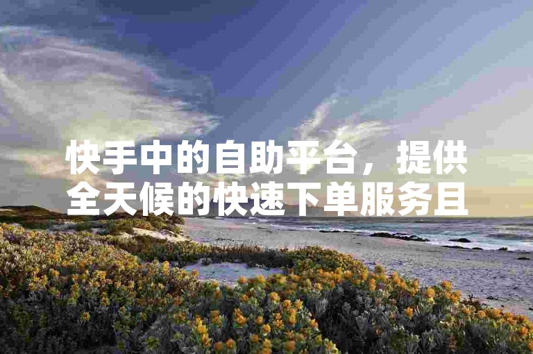 快手中的自助平台，提供全天候的快速下单服务且完全免费。