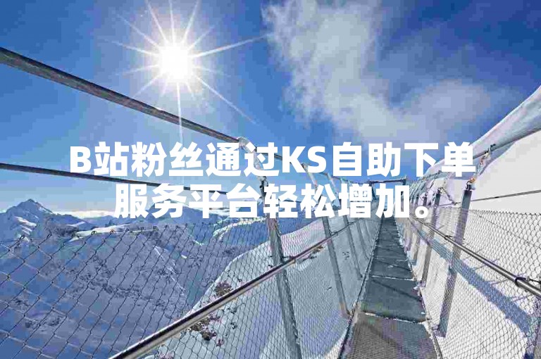 B站粉丝通过KS自助下单服务平台轻松增加。