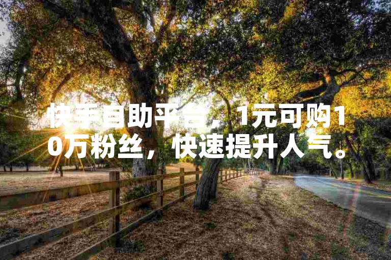 快手自助平台，1元可购10万粉丝，快速提升人气。