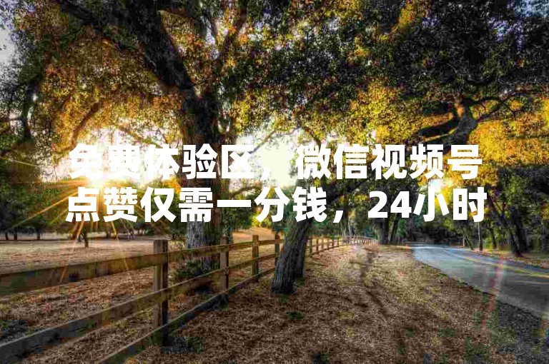 免费体验区，微信视频号点赞仅需一分钱，24小时服务 - 快手粉丝增长0.01元起，立即提升影响力 - 科技助力营销活动