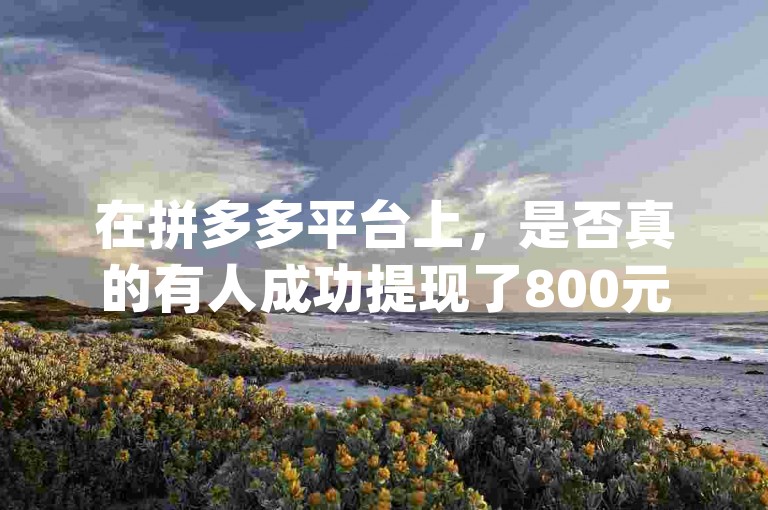 在拼多多平台上，是否真的有人成功提现了800元？这究竟是真是假？{pdd砍价网站}