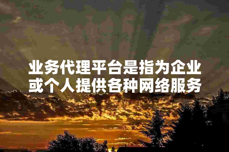 业务代理平台是指为企业或个人提供各种网络服务，如社交媒体管理、广告推广等的专业服务平台。