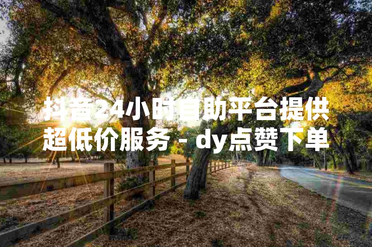 抖音24小时自助平台提供超低价服务 - dy点赞下单网站,微信支付便捷。