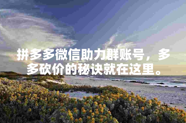 拼多多微信助力群账号，多多砍价的秘诀就在这里。