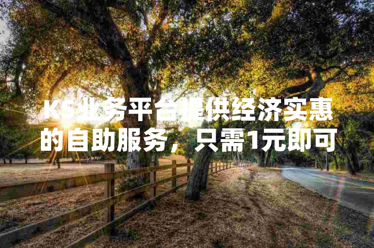 KS业务平台提供经济实惠的自助服务，只需1元即可获得100个点赞，轻松通过dy操作实现自助点赞下单。