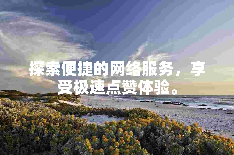 探索便捷的网络服务，享受极速点赞体验。