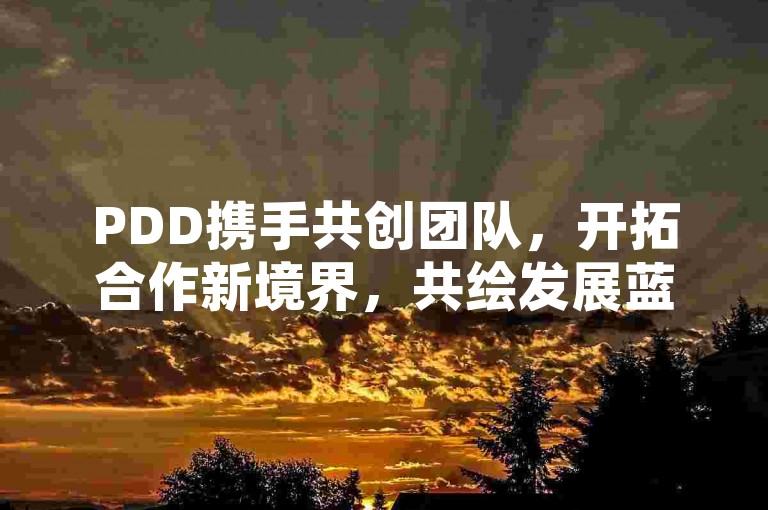 PDD携手共创团队，开拓合作新境界，共绘发展蓝图。