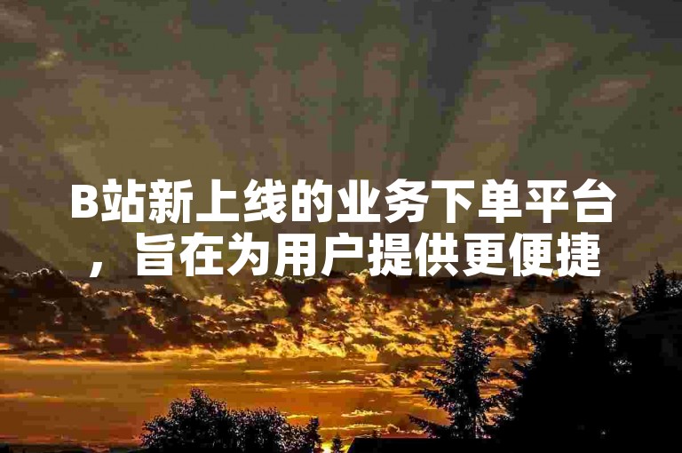 B站新上线的业务下单平台，旨在为用户提供更便捷的服务体验。