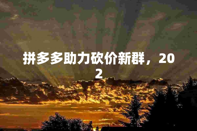 拼多多助力砍价新群，2025年最新微信群pdd砍价高手。