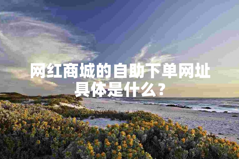 网红商城的自助下单网址具体是什么？
