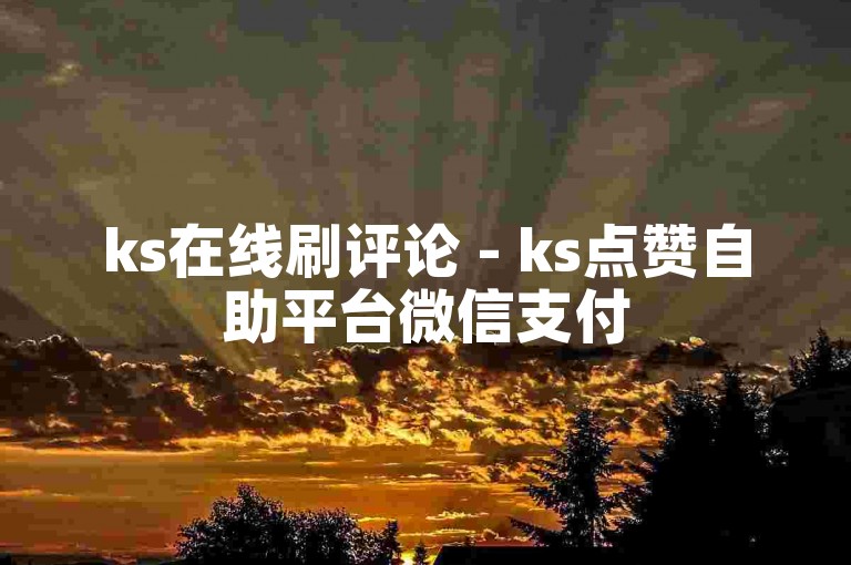 ks在线刷评论 - ks点赞自助平台微信支付