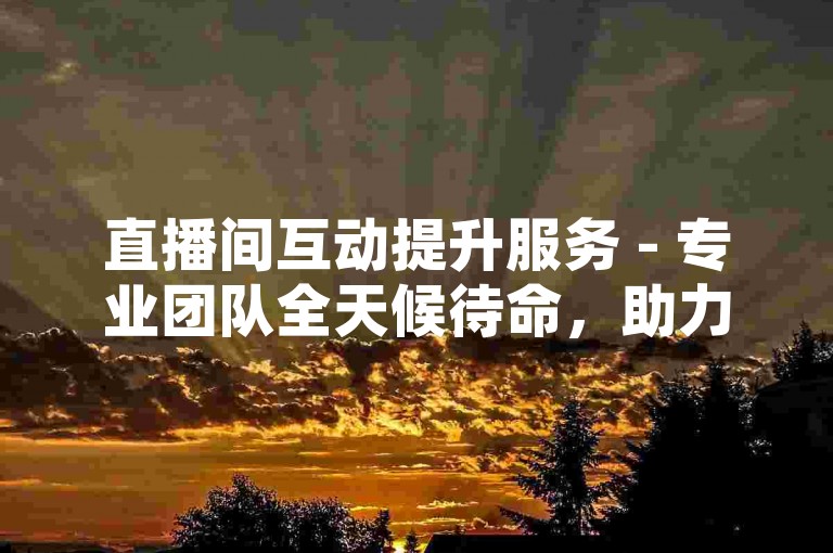 直播间互动提升服务 - 专业团队全天候待命，助力热度飙升。